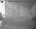 Capi_Dubne_20250821_010002.jpg