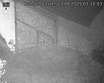 Capi_Dubne_20250821_031003.jpg