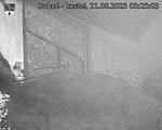 Capi_Dubne_20250821_032503.jpg