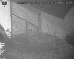 Capi_Dubne_20250821_051003.jpg