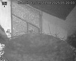 Capi_Dubne_20250821_052003.jpg