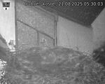Capi_Dubne_20250821_053003.jpg