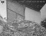 Capi_Dubne_20250821_054002.jpg