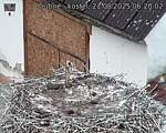 Capi_Dubne_20250821_062002.jpg