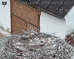 Capi_Dubne_20250821_062503.jpg