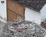 Capi_Dubne_20250821_063003.jpg
