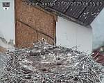 Capi_Dubne_20250821_065503.jpg