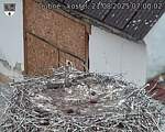 Capi_Dubne_20250821_070002.jpg