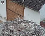 Capi_Dubne_20250821_071002.jpg