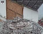 Capi_Dubne_20250821_072005.jpg
