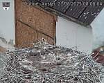 Capi_Dubne_20250821_080004.jpg
