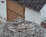 Capi_Dubne_20250821_080503.jpg