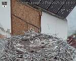Capi_Dubne_20250821_081003.jpg
