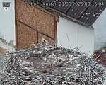 Capi_Dubne_20250821_081504.jpg