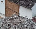 Capi_Dubne_20250821_082002.jpg