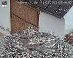 Capi_Dubne_20250821_084002.jpg