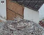 Capi_Dubne_20250821_085003.jpg