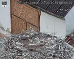 Capi_Dubne_20250821_085503.jpg