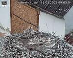Capi_Dubne_20250821_090504.jpg