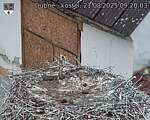 Capi_Dubne_20250821_092003.jpg