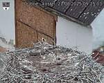 Capi_Dubne_20250821_092503.jpg