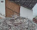 Capi_Dubne_20250821_093002.jpg