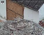 Capi_Dubne_20250821_093502.jpg