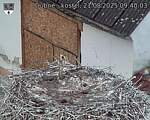 Capi_Dubne_20250821_094003.jpg