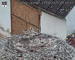 Capi_Dubne_20250821_094503.jpg