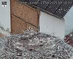 Capi_Dubne_20250821_095003.jpg
