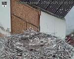 Capi_Dubne_20250821_100503.jpg