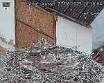 Capi_Dubne_20250821_101004.jpg