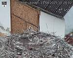 Capi_Dubne_20250821_102002.jpg