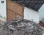 Capi_Dubne_20250821_104504.jpg