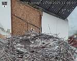 Capi_Dubne_20250821_110003.jpg