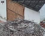 Capi_Dubne_20250821_113003.jpg