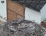 Capi_Dubne_20250821_114504.jpg