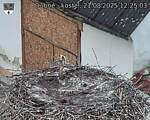 Capi_Dubne_20250821_122503.jpg