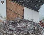 Capi_Dubne_20250821_123003.jpg