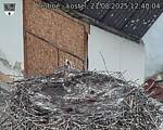 Capi_Dubne_20250821_124004.jpg