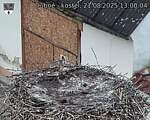 Capi_Dubne_20250821_130004.jpg