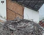 Capi_Dubne_20250821_132003.jpg