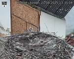 Capi_Dubne_20250821_133504.jpg