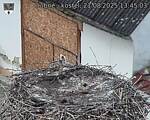 Capi_Dubne_20250821_134504.jpg