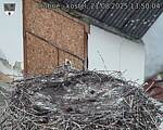 Capi_Dubne_20250821_135004.jpg