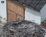 Capi_Dubne_20250821_140504.jpg