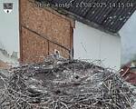 Capi_Dubne_20250821_141504.jpg