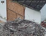 Capi_Dubne_20250821_142004.jpg