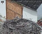 Capi_Dubne_20250821_142502.jpg