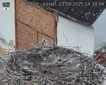 Capi_Dubne_20250821_143004.jpg